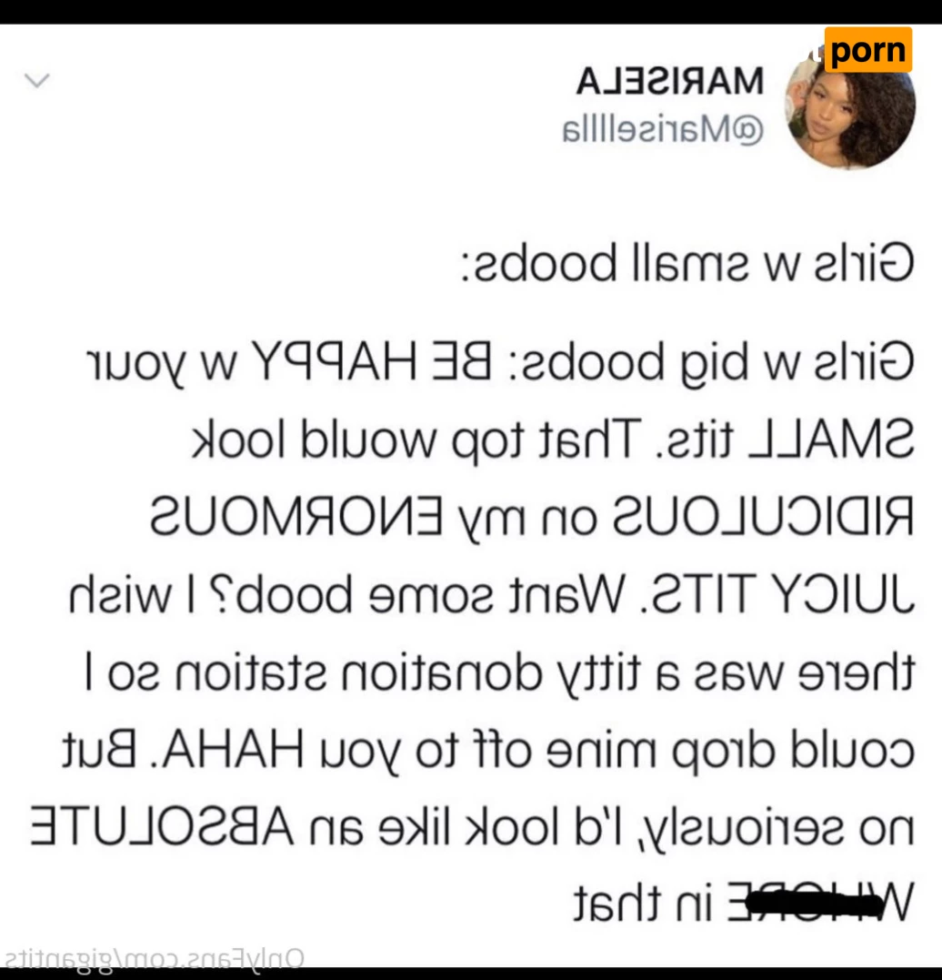 Gigantits 🐱 9533099