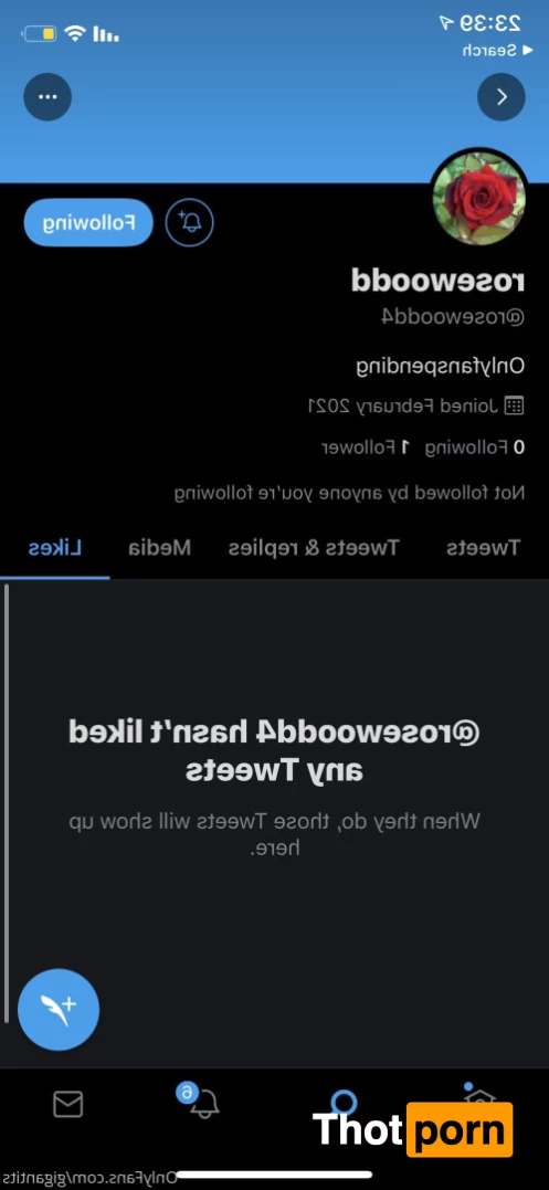 Gigantits 🐱 9533116