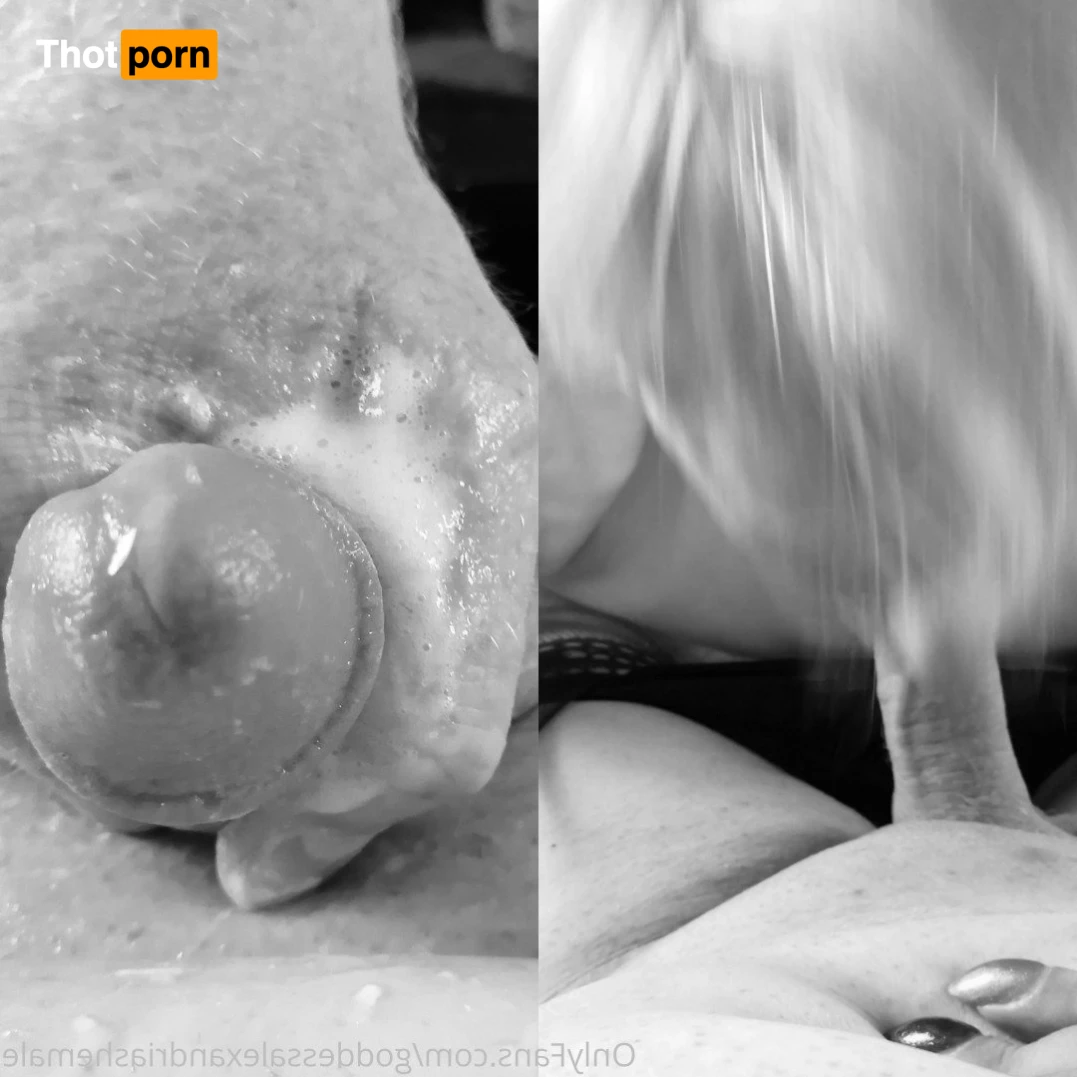 ShemaleGoddessAlexandria 3359619