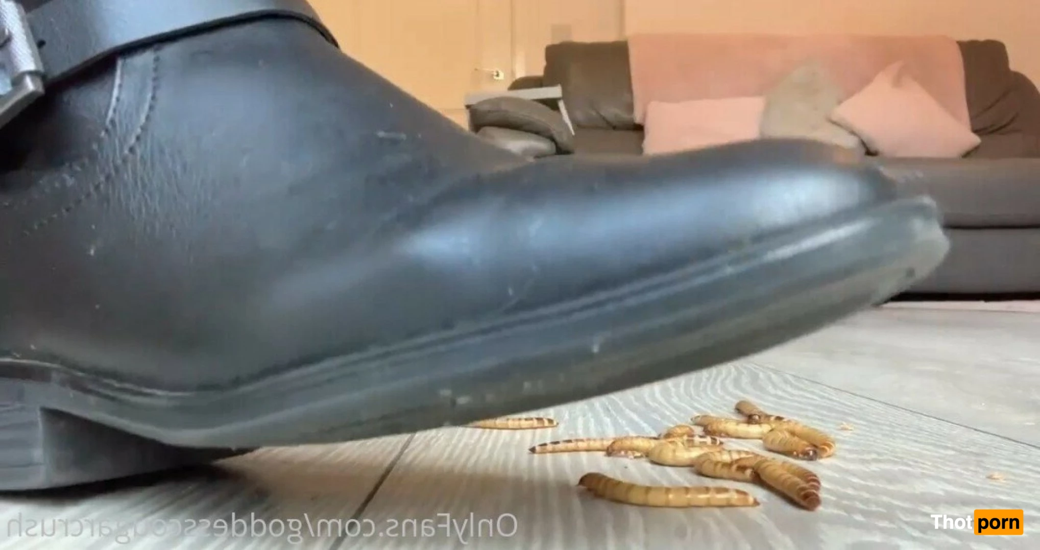 Goddess Cougar 3308114