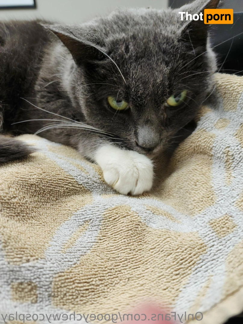 Gooeychewycosplay 9531465