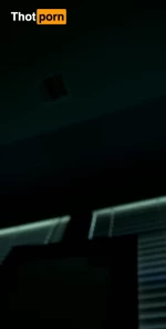 10631372