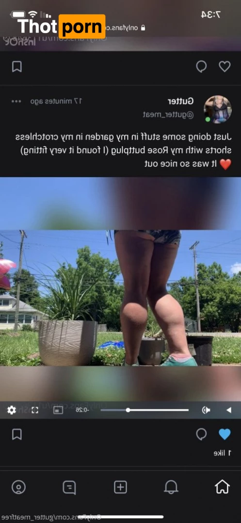 gutter_meatfree 3374793