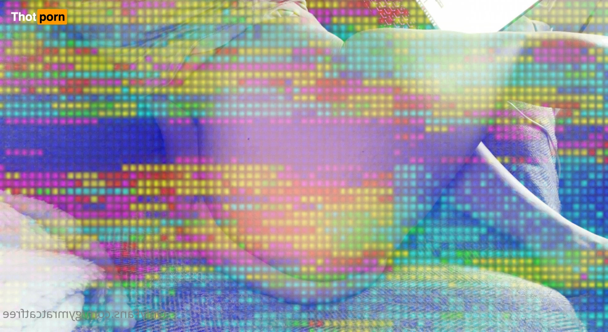 gymratcatfree 3388655