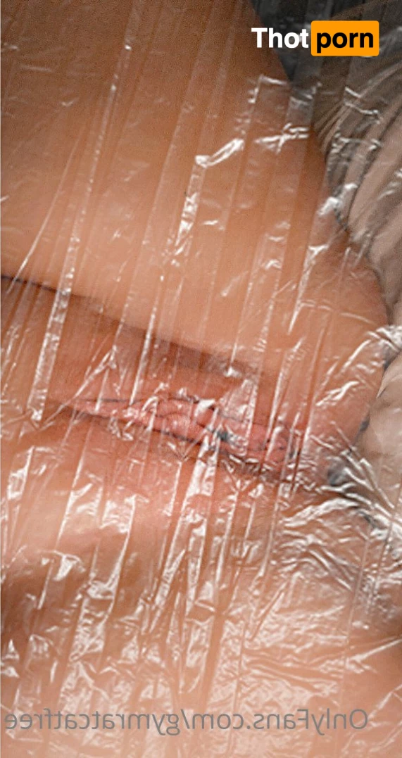 gymratcatfree 3388676