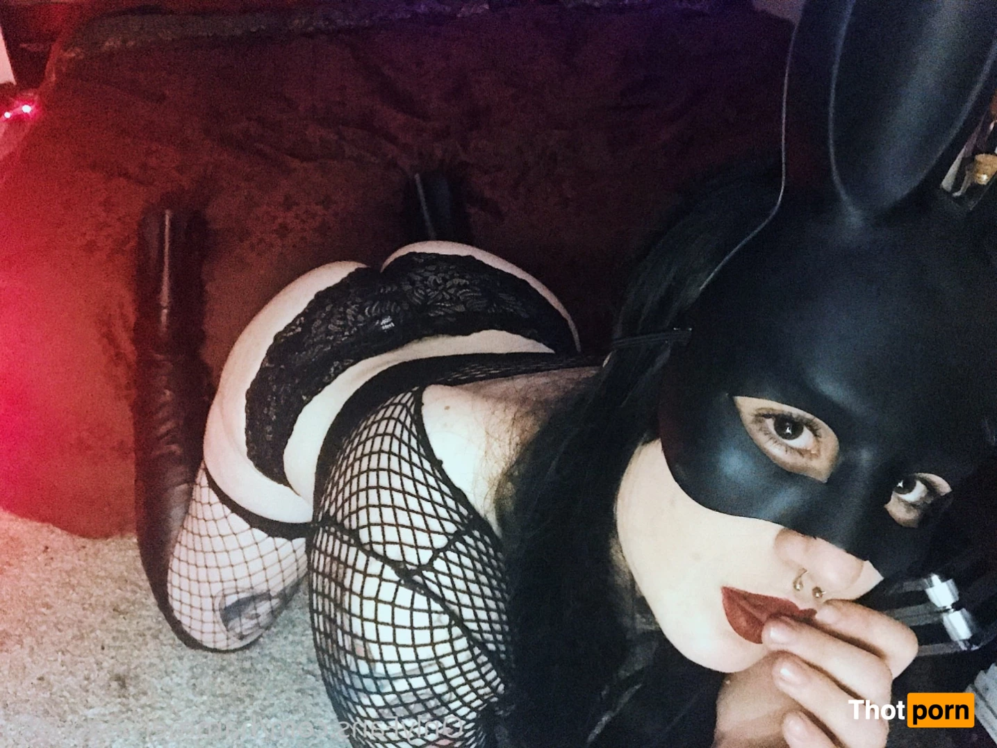 Hammerhead Neko 9804944