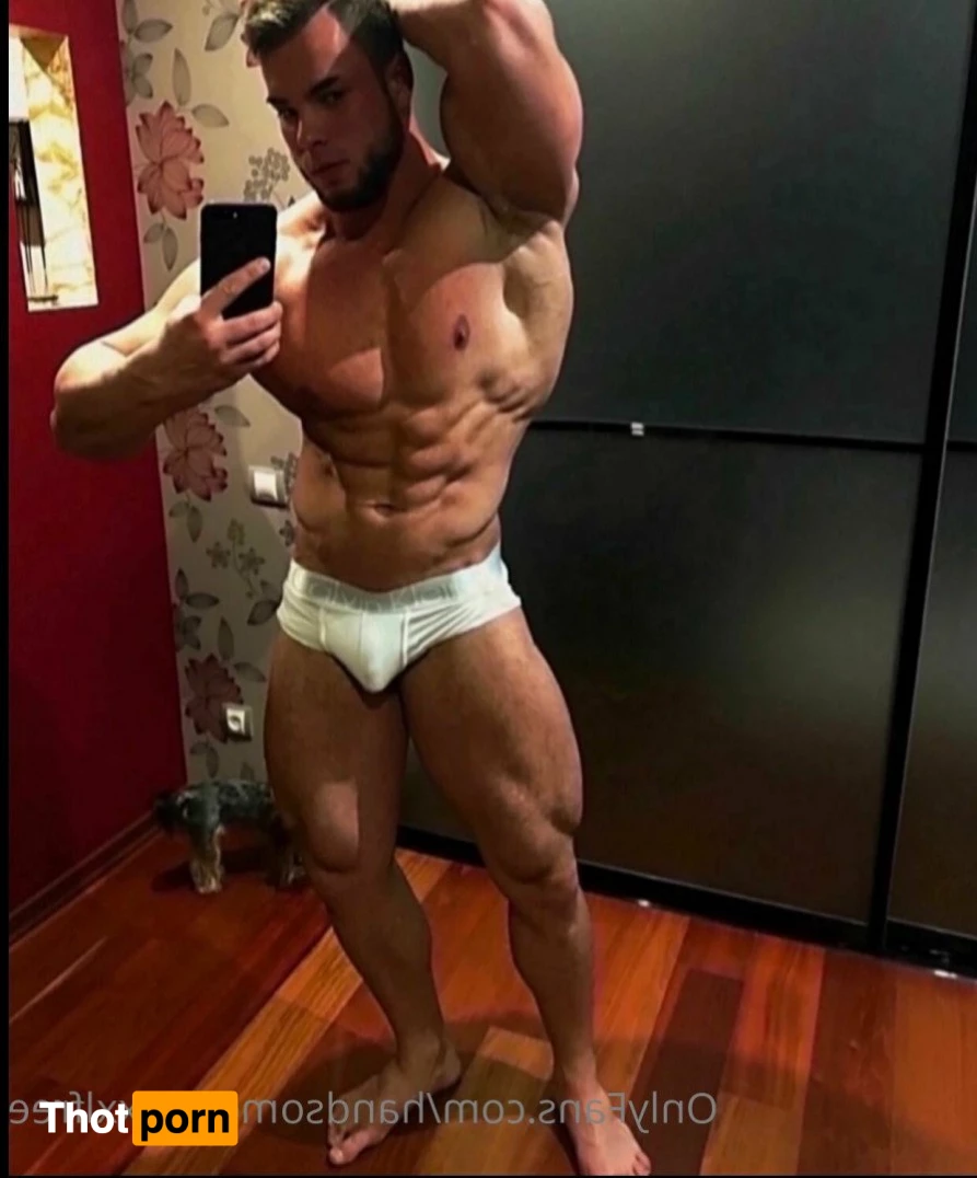 Handsometroyxxlfree 3280101