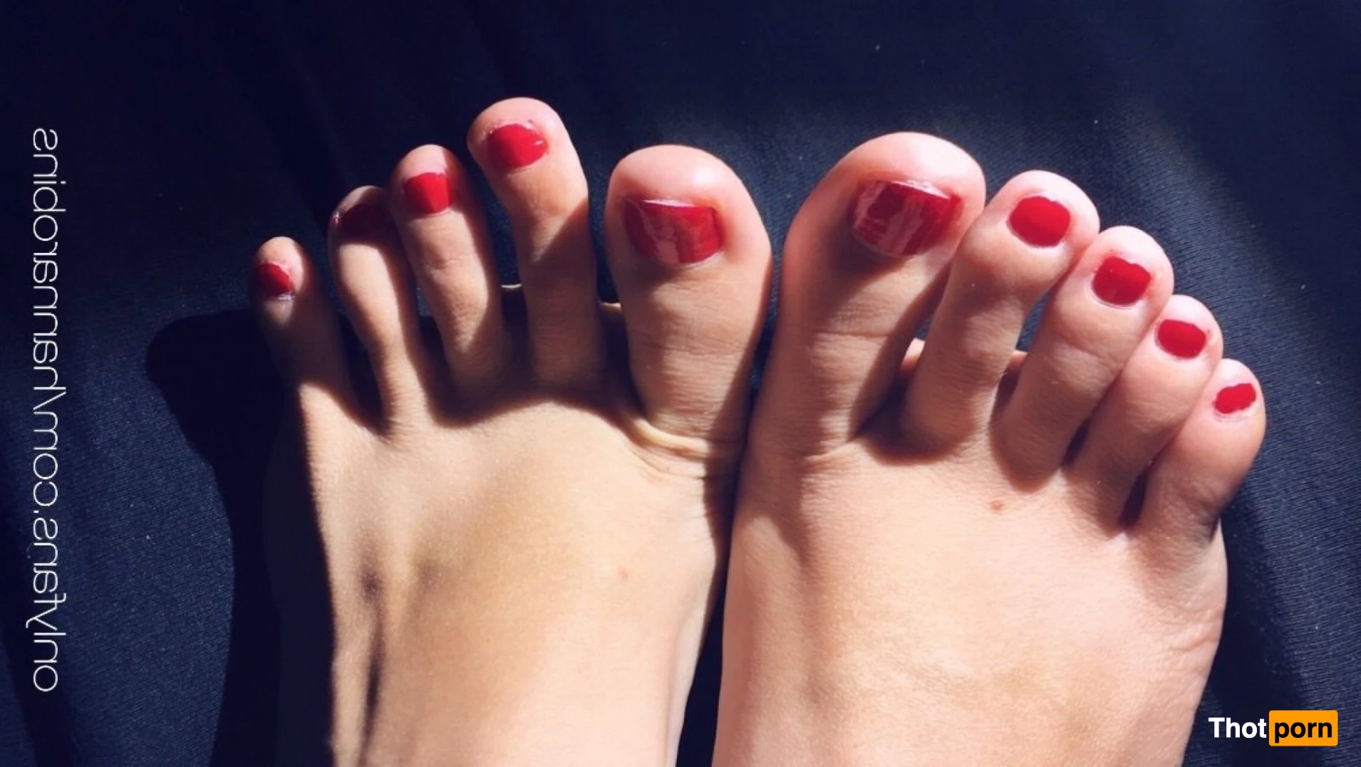 hannarobins 12394762