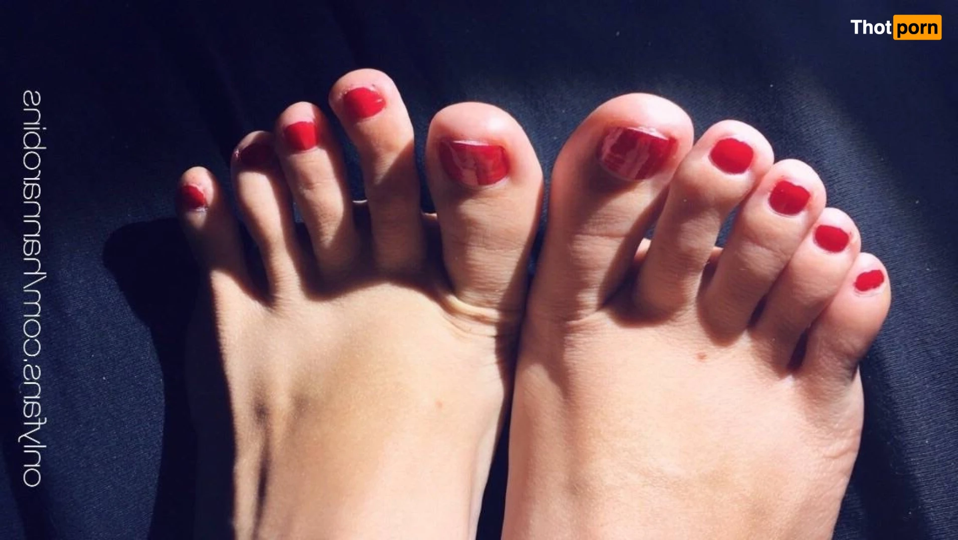 hannarobins 12395527