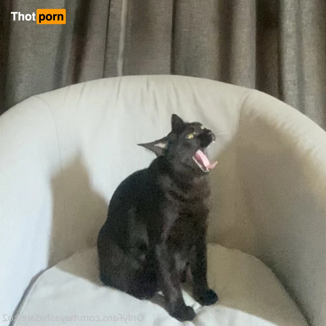 れいこ//Reiko(free) 3276931