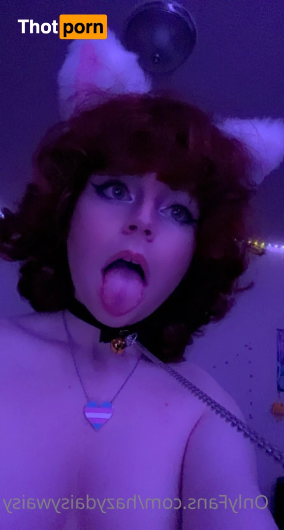 Daisy Autumn 7922382