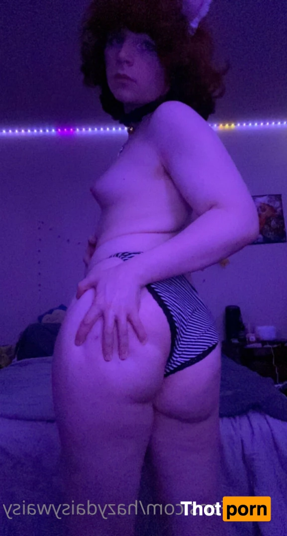 Daisy Autumn 7922488