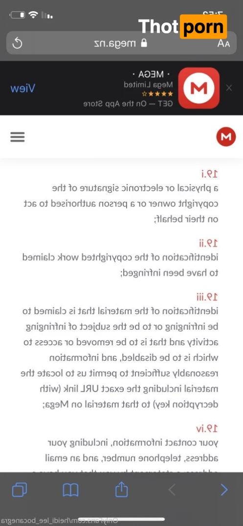 Heidi Lee Bocanegra 3624031