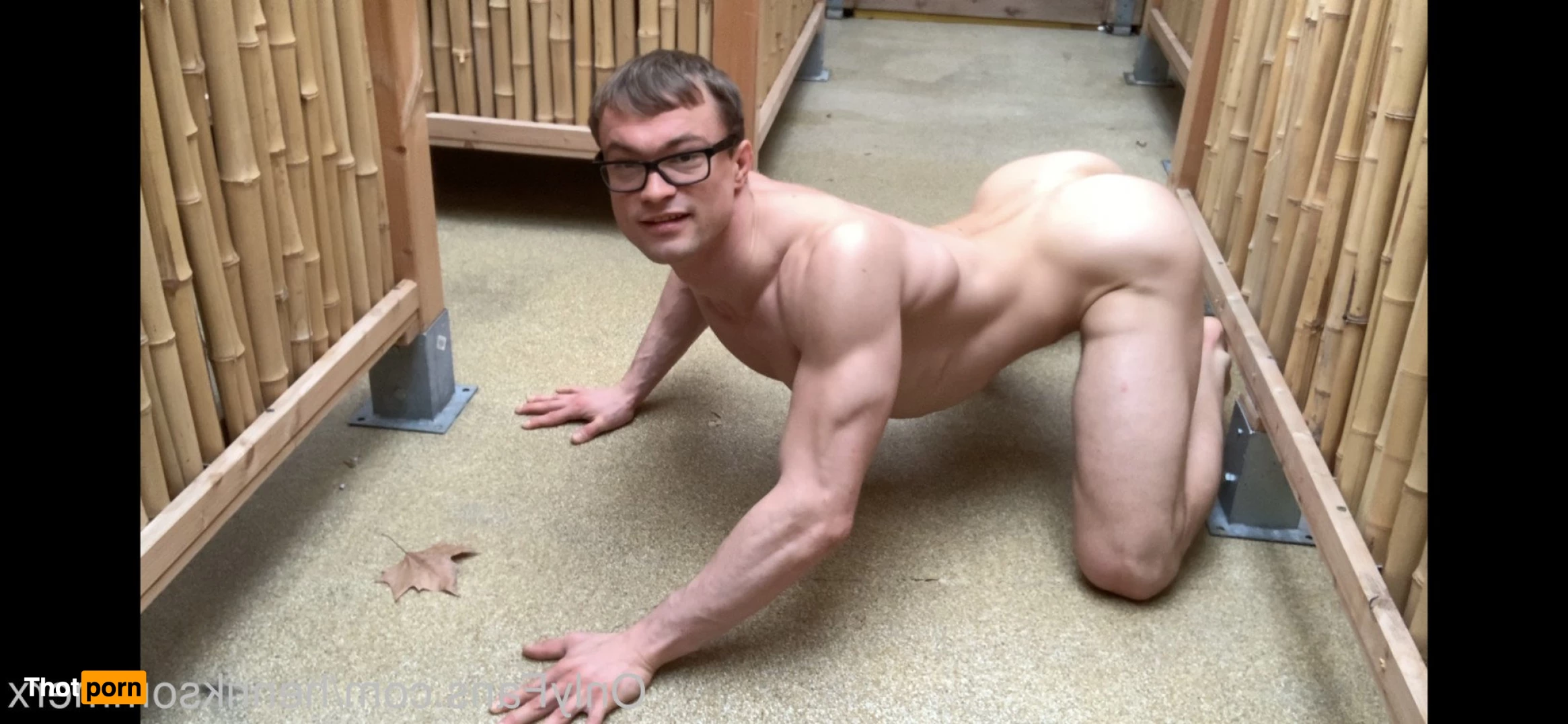 henriksommer 3268663