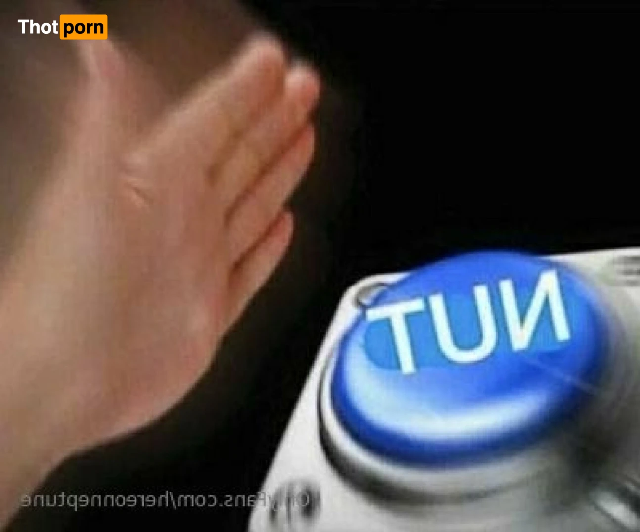 Daisy Taylor 12229775