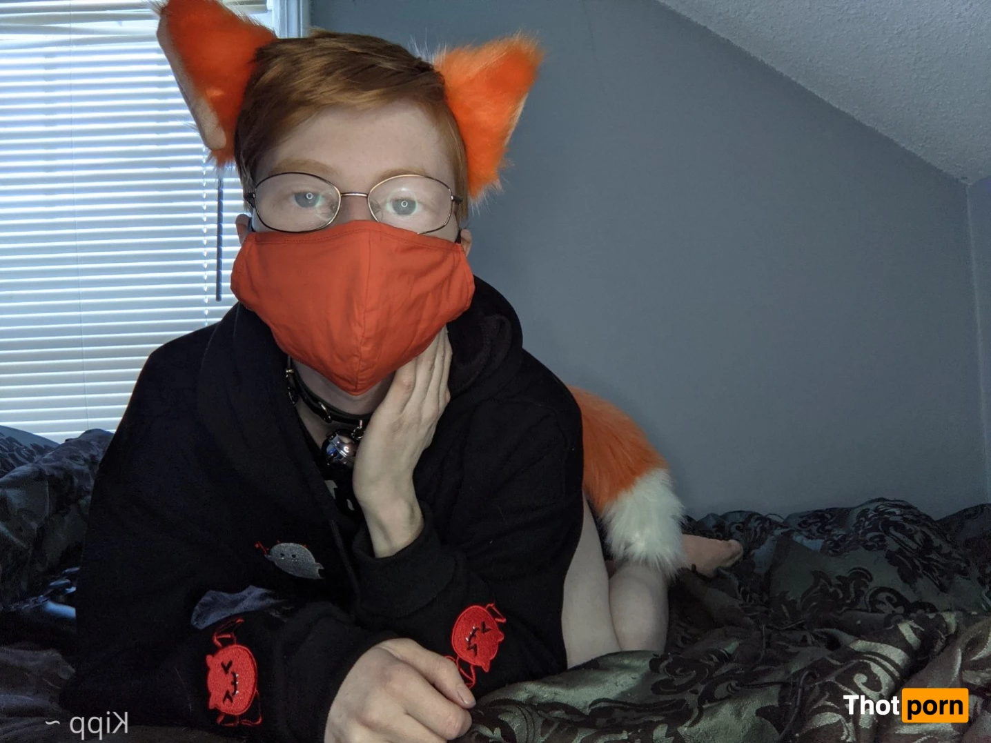 Kipp ~ 🦊🧡 3585829