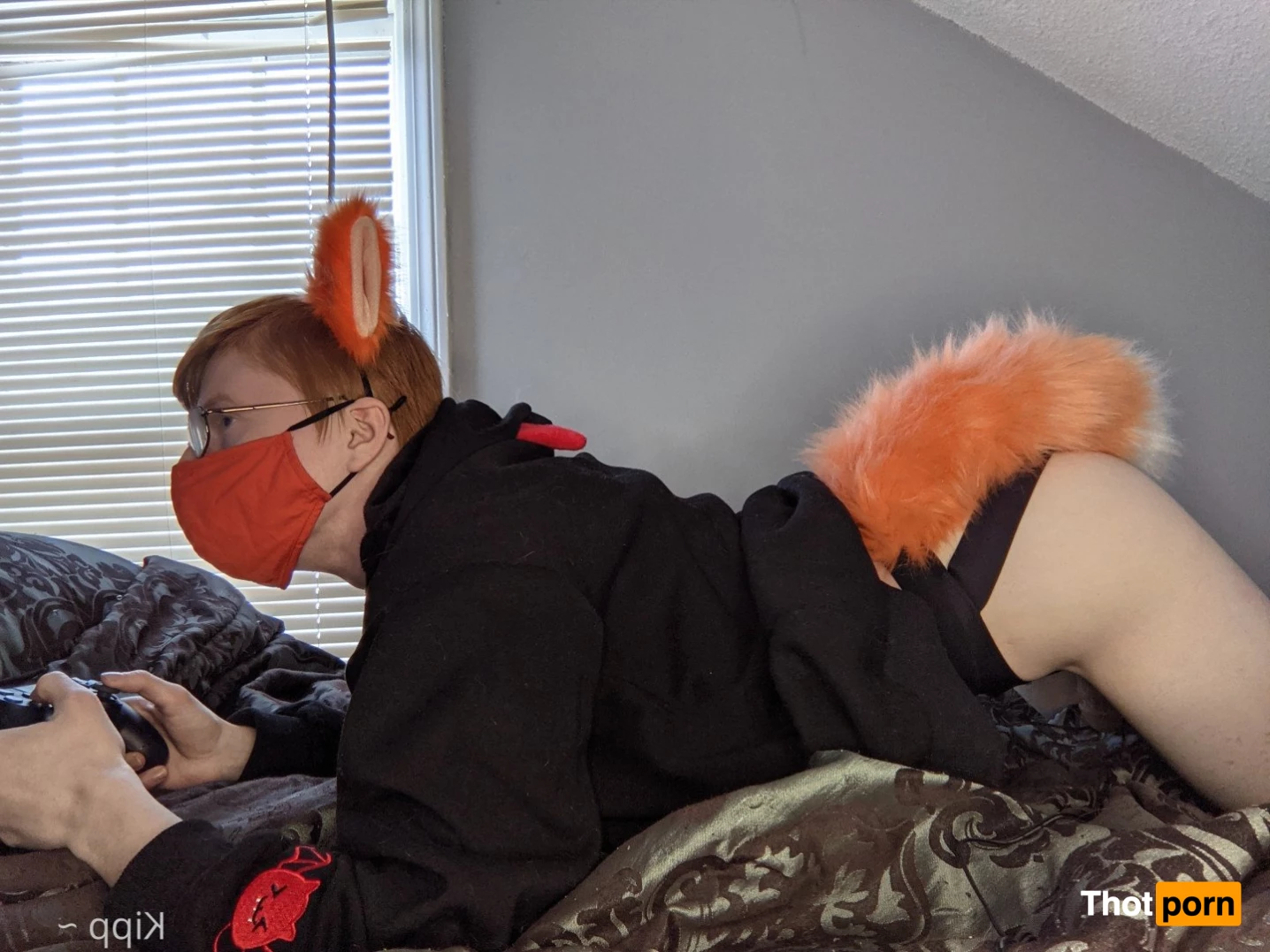 Kipp ~ 🦊🧡 3586085