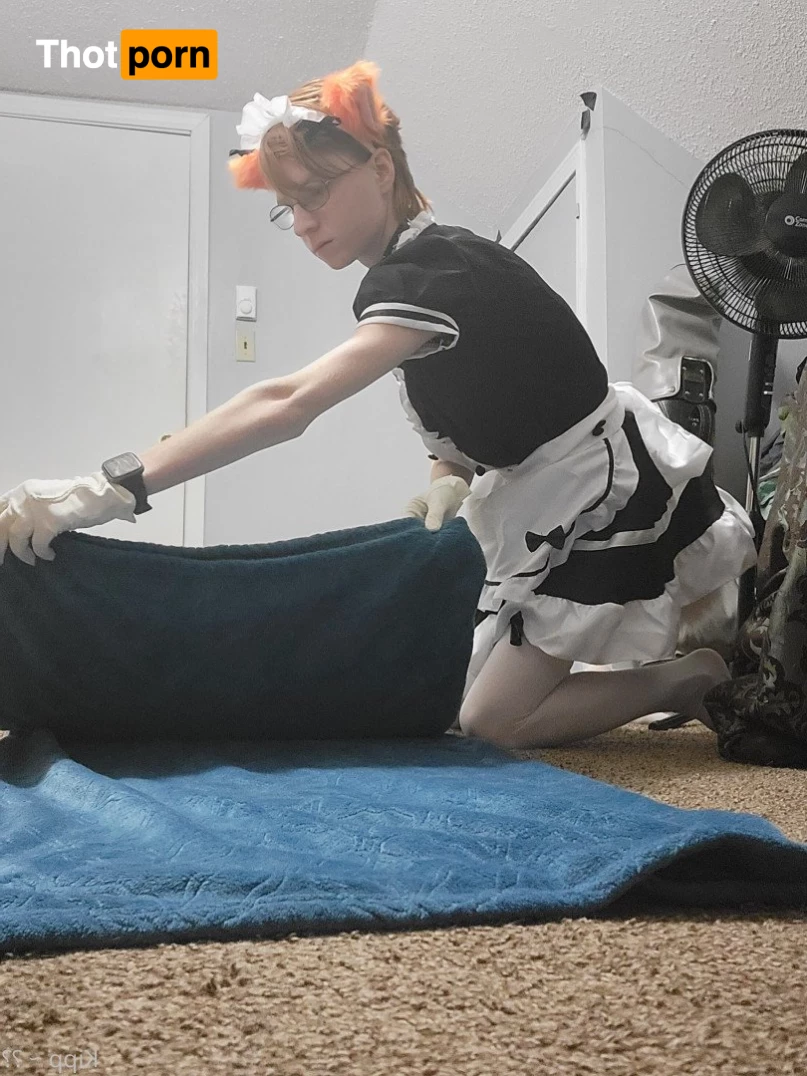 Kipp ~ 🦊🧡 3586169