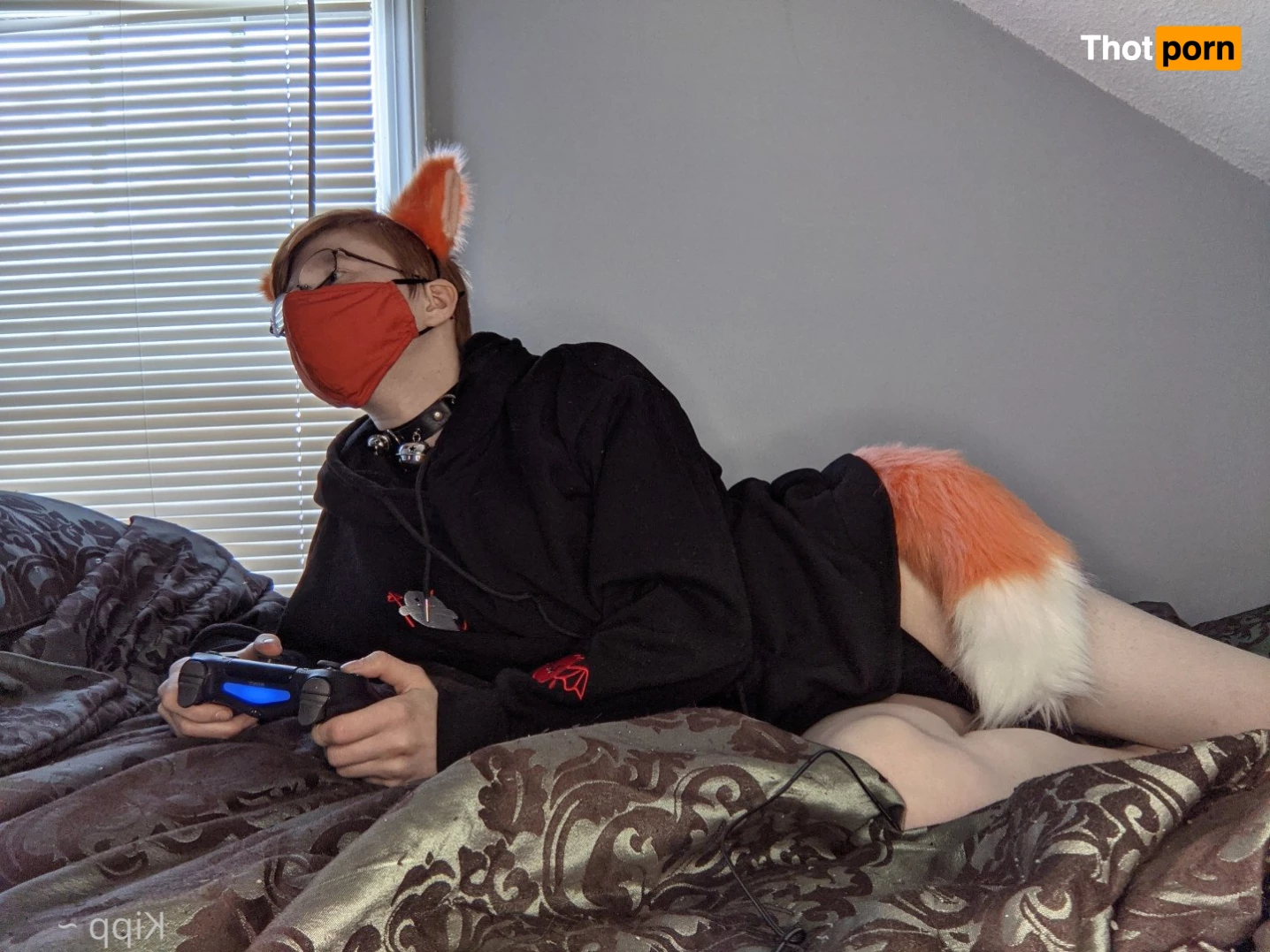 Kipp ~ 🦊🧡 3586266