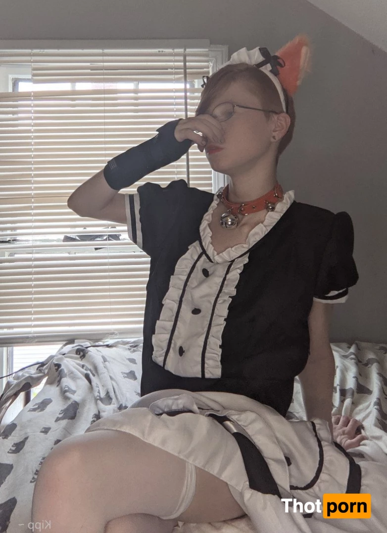 Kipp ~ 🦊🧡 3586920