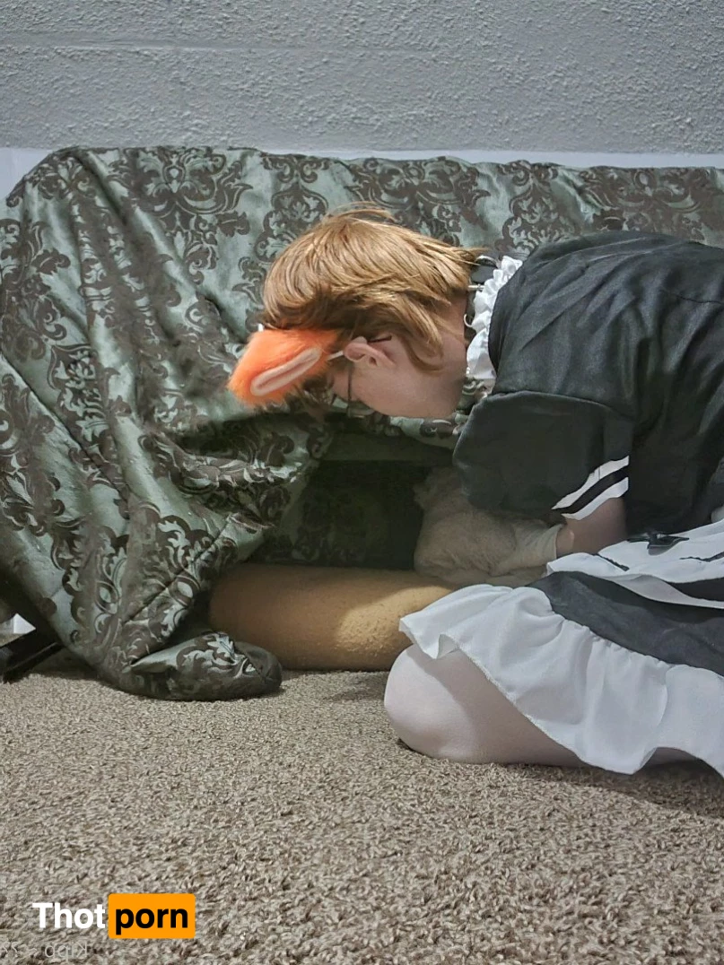 Kipp ~ 🦊🧡 3587211