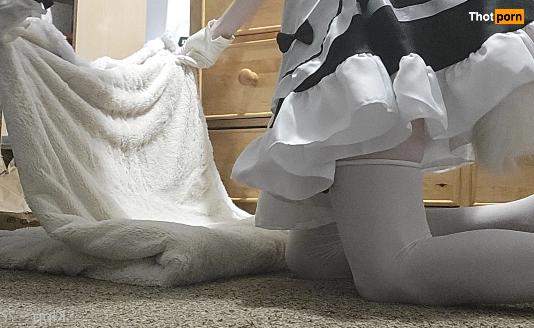 Kipp ~ 🦊🧡 3587505