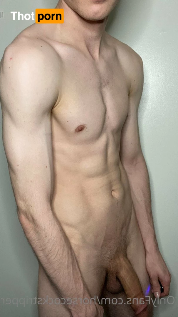 HorseCockStripper 3370016