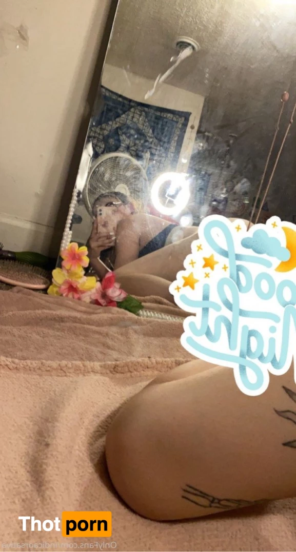 Trippy Hippie🍃🍄 3262962