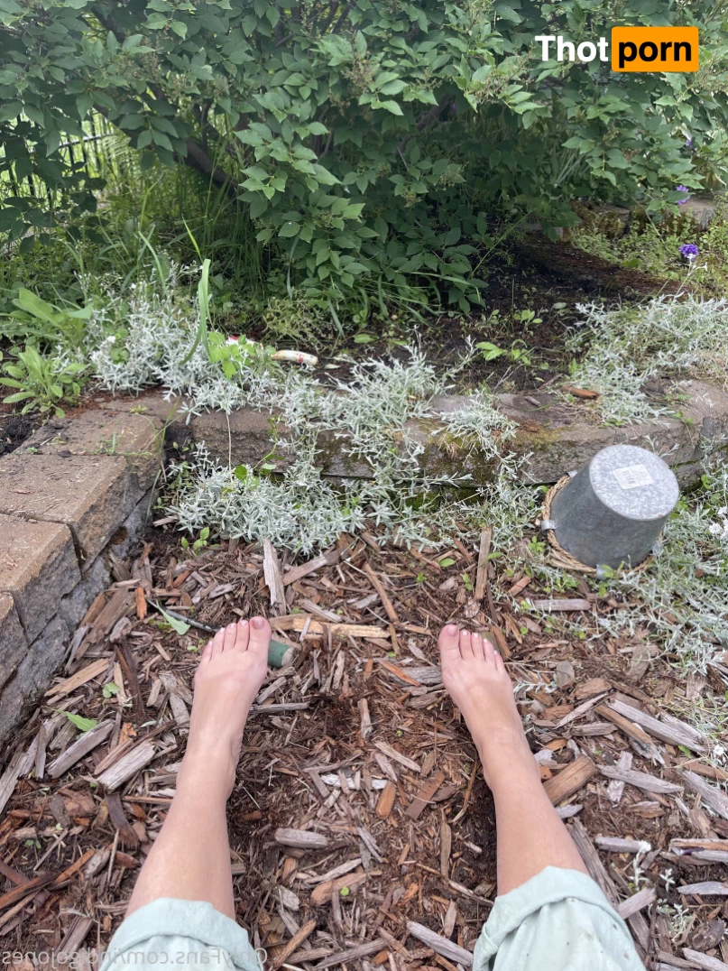 𝐈ndìgo Jone𝐒 10045050