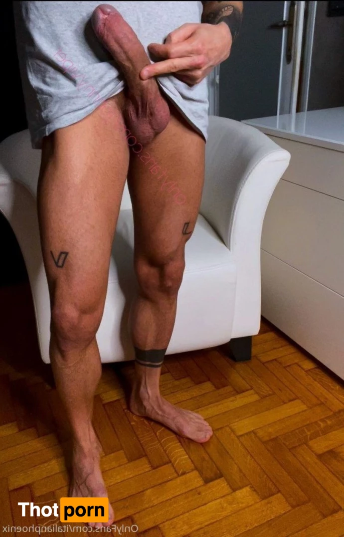 Italianphoenix 3262334