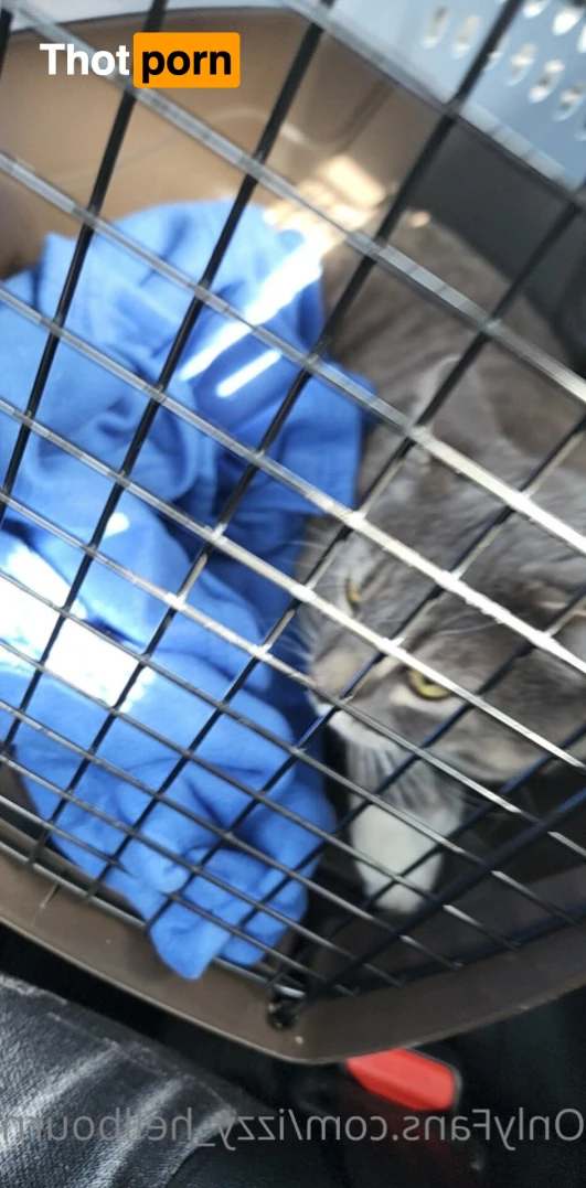 Izzy Hellbourne 6263877