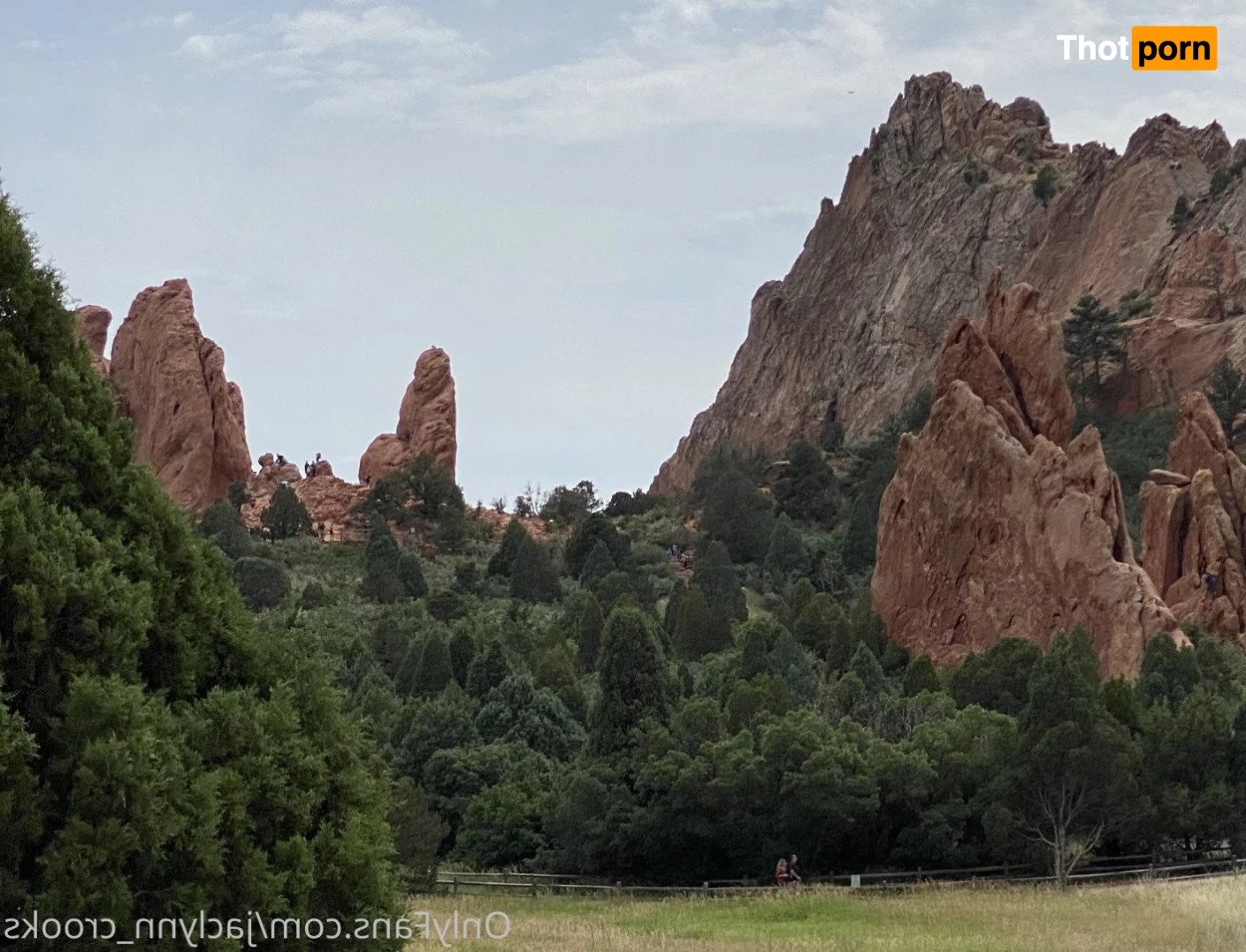 Jaclynn Crooks 3290617