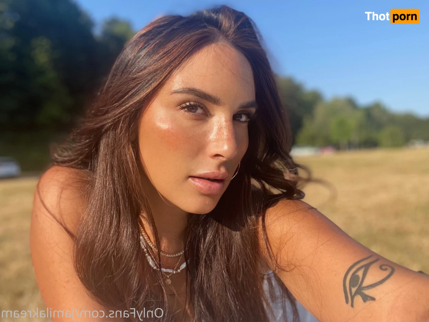 Arabic Princess 12007248