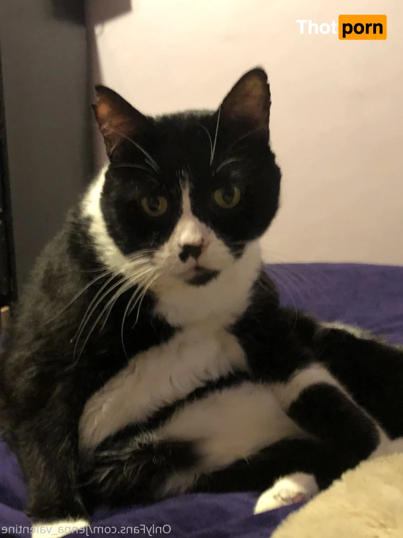 Jenna Valentine 11859920