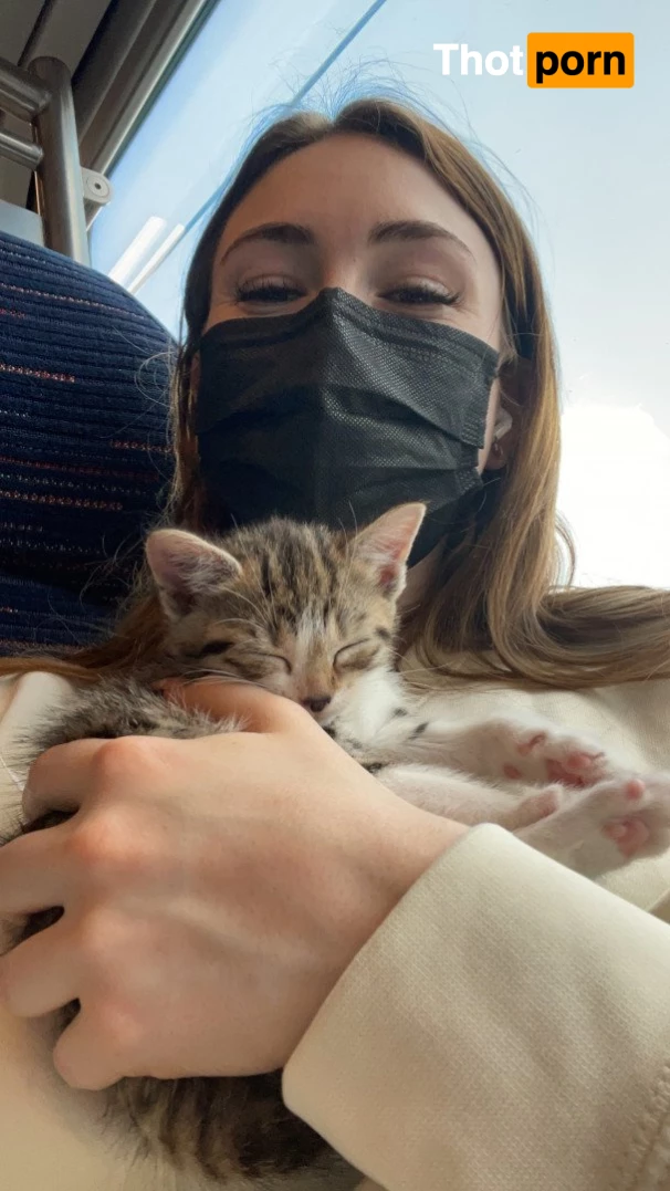 Jessie Buns FREE 3311558