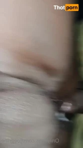 3818739