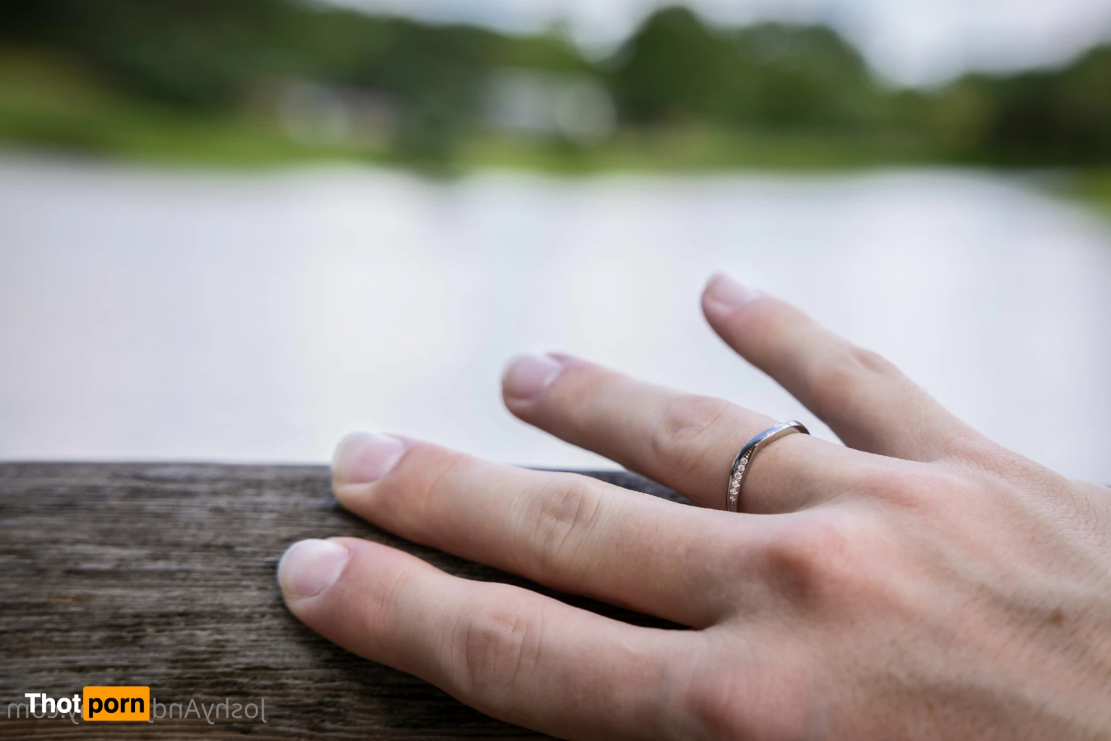 Joshy N Johnny 11523790