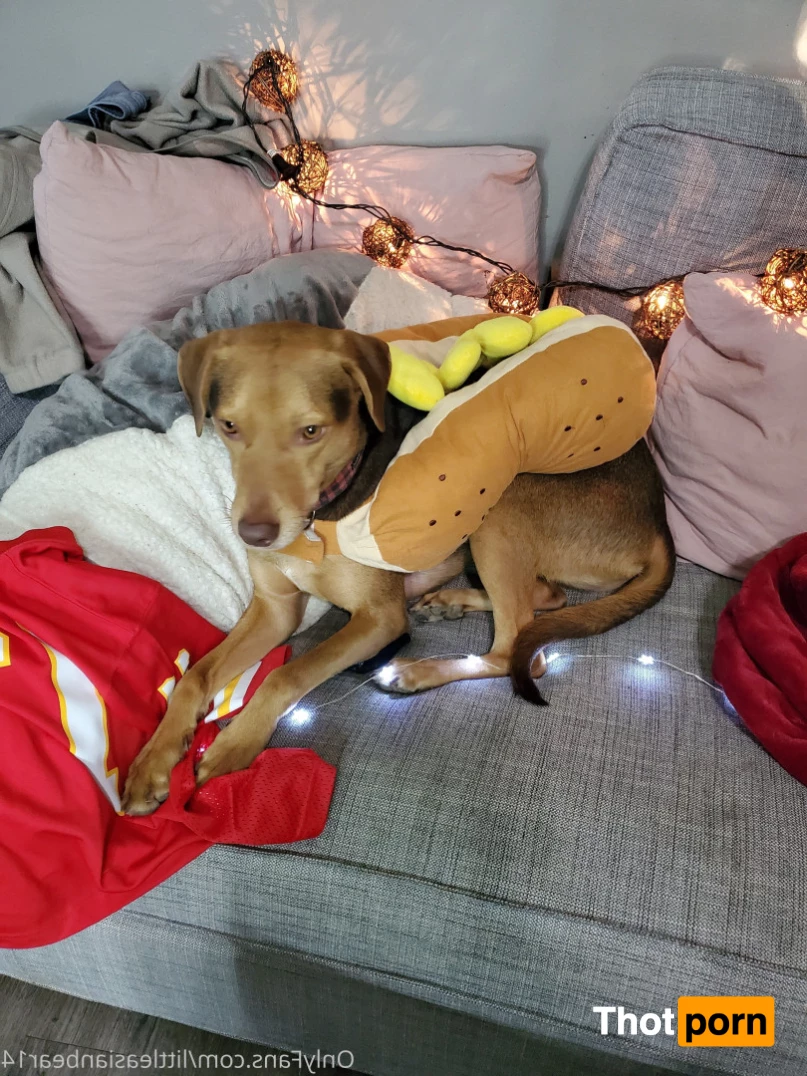 JuicyPinaypple 6259516