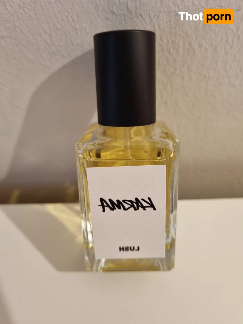 KaidenceKing 3302633