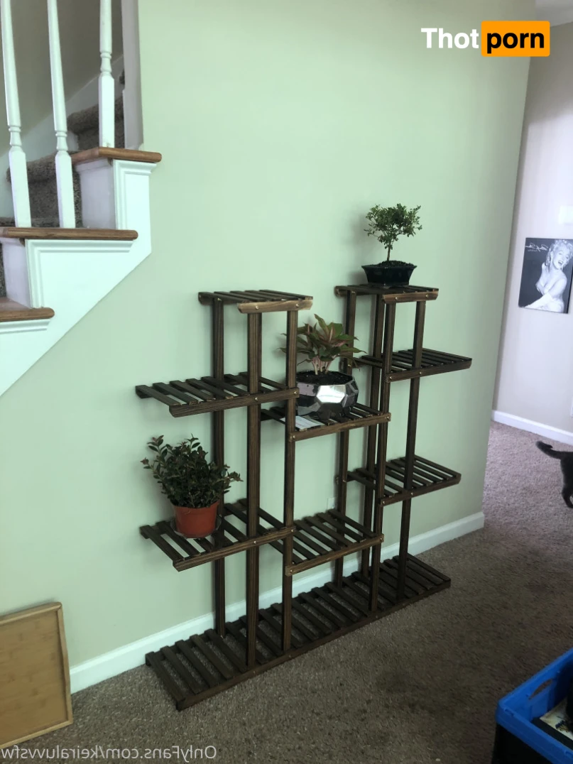 Ashley Phoenix 🔥 13659308