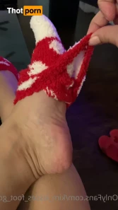 3958477