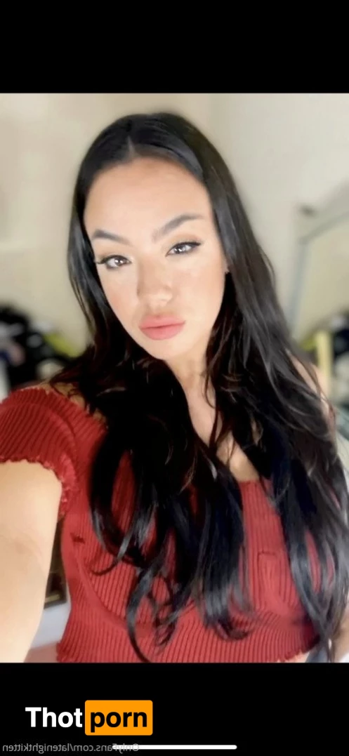 Kitten Latenight 3471295