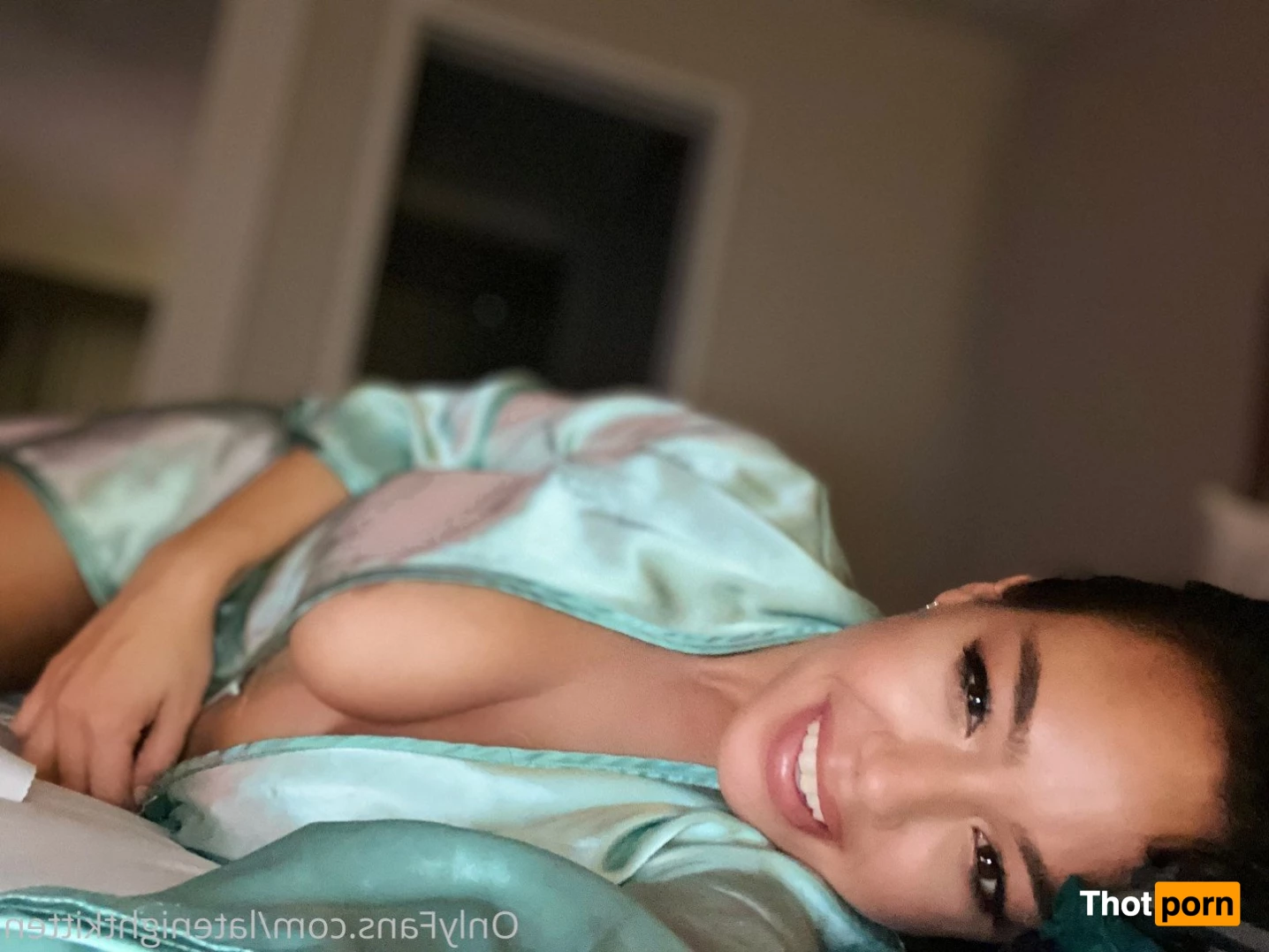 Kitten Latenight 3471554