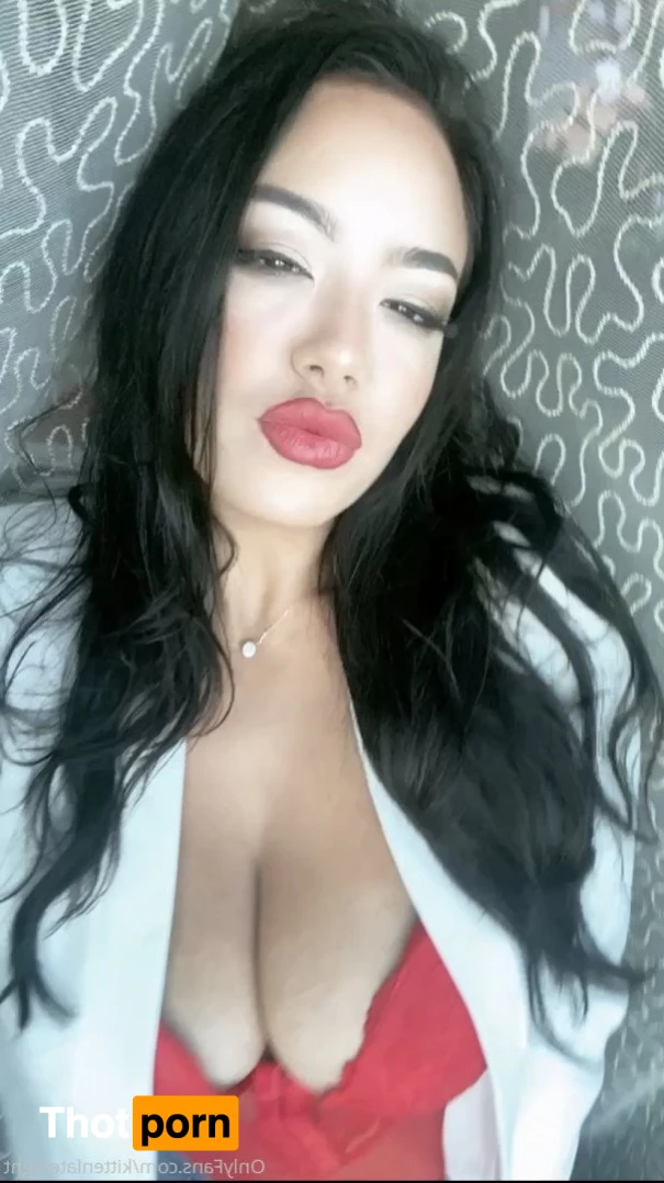 Kitten Latenight 3471586