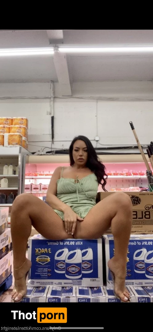 Kitten Latenight 3471726