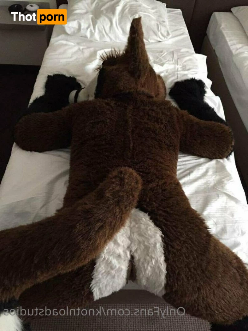 Knot 'n' Load Studios 3088023