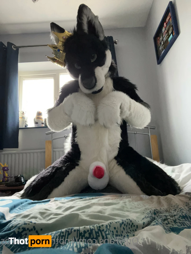 Knot 'n' Load Studios 5788967