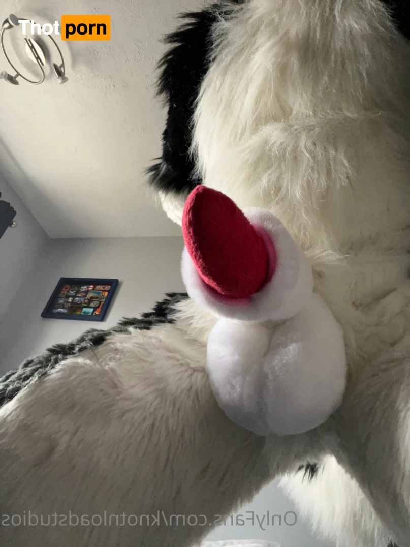 Knot 'n' Load Studios 5788988