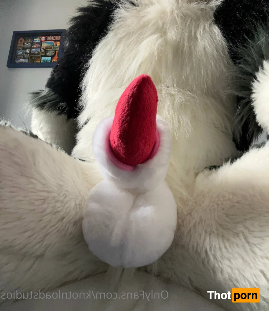 Knot 'n' Load Studios 5788998