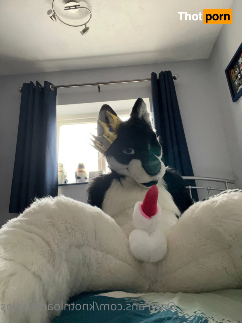 Knot 'n' Load Studios 5789036